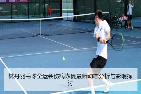 林丹羽毛球全运会伤病恢复最新动态分析与影响探讨